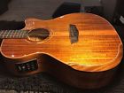 Wcg-55ce Koa Washburn 2017
