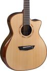 Wcg22sce-u Washburn Comfort Series Grand Auditorium Guitar Natural 801128649283