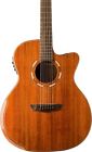 Wcg55ce-o Washburn Comfort Guitar 801128847627