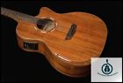 Wcg55ce Washburn Comfort Series Koa Body