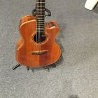 Wcg55sce Wcg55wce Washburn W Levys Em20s Bag