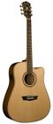 Wd10sce Washburn Acoustic-electric Guitar With