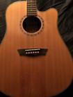 Wd20sce Washburn Acoustic Guitar