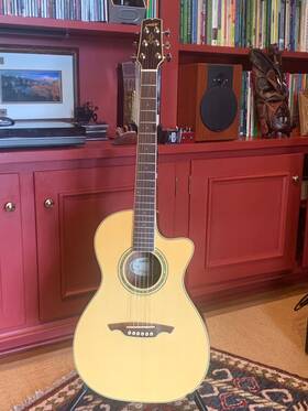 Nv-5513ce Wechter Model Inch Half-nashville Tuned Parlor Guitar - Ex Condition