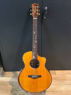 Fx-pg91yv Willow Creek Guitars Rosewood Pro
