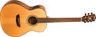 Wlo100swek Washburn Woodline Solid Wood 801128883908
