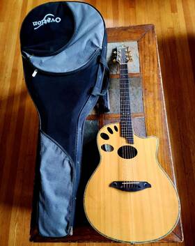 Woodware 1660ce Bowl-back Electric/acoustic With Lr Baggs Pickup Ovation Case - N