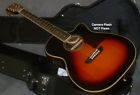 Wsd5240sce Washburn Case Rosewood List