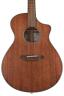 Wwcn01ceamam Breedlove Organic Wildwood Concert Ce Guitar Natural Satin