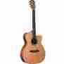 Wy1bw Alvarez Yairi Bob Weir Signature Acoustic-electric Guitar