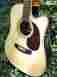 Zad900ce Zager Easy Play Acoustic Electric Pro Guitar Rated In The Top 2