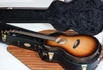 Breedlove Usa Concert Acoustic-electric Guitar, Whiskey Burst Sitka Spruce.... Fixed Price $1969.99.