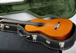 Jose Ramirez Limited Edition 125 Classical Guitar Spain 2009. Fixed Price $1592.13.