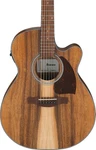 Ibanez PC50WSCE Acoustic-electric Guitar Open-pore Natural. Fixed Price $199.99.