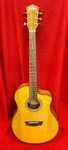 Washburn Bta-natsce-u Acoustic Electric Guitar. Fixed Price $495.00.