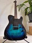Esp Ltd TE-200DX Electric Guitar Blue Burst Flame Maple. Fixed Price $579.19.
