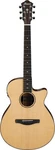 Ibanez AEG200 6-STRING A/e Guitar With Solid Spruce Top, Natural Low Gloss. Fixed Price $399.00.