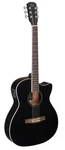 Jn Guitars Thin Body Acoustic-electric Auditorium Black Bes-ace Bk. Fixed Price $349.99.