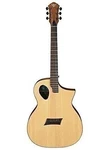 Michael Kelly Mkfpsnasfx Forte Port Electro Acoustic Guitar - Free Shipping. Fixed Price $379.99.