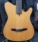 Ibanez FRH10N Slimline Nylon String Guitar W/electronics. Free Shipping!. Fixed Price $529.99.