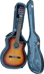 Electric Guitar, Acoustic, Dillion, S/n DCG-20CEO-DHC. Fixed Price $350.00.