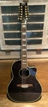 Schecter Diamond Series 12STR Acoustic Elec Guitar W/bag Case- Ex. Fixed Price $395.00.