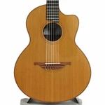 Lowden S-25J Jazz Nylon *2010 Used Acoustic Guitar. Fixed Price $5432.73.