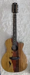 Luna Vista Eagle 12 String Tropical Wood Acoustic Electric Guitar W/hard Case. Fixed Price $495.00.