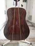 Acoustic Guitar Morales Lyre Bird M25 Natural Spruce Top. Fixed Price $515.00.