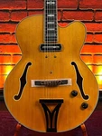 Ibanez PM3C Nal Pat Metheny Signature Hollowbody Electric Guitar. Natural Amb.... Fixed Price $1449.99.
