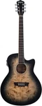 Washburn Deep Forest Burl 6 String Acoustic-electric Guitar, Right, Black.... Fixed Price $349.00.