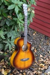 Breedlove Pursuit Exotic Myrtlewood Concertina A/e Guitar Tiger Eye. Fixed Price $749.00.
