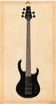 H. Jimenez LBS5-BK Camale String Bass Guitar, Glossy Black. Fixed Price $599.00.