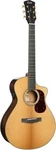 Cort Series GOLD-MC6 Acoustic-electric Guitar (natural Gloss). Fixed Price $1399.99.