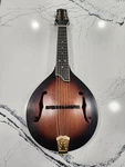 New Gold Tone GM-6+/L 6-STRING Electric Mandolin Guitar W/ Hard Case. Fixed Price $562.48.