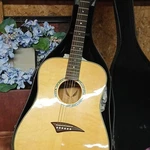 Dean Eqa Gn Dreadnought Acoustic Guitar Natural Finish 6 String With Case. Fixed Price $299.00.