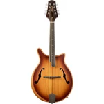 Mitchell DM200E Double Cut Acoustic-electric Mandolin California Gold. Fixed Price $299.99.