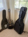 Daisy Rock Wildwood Acoustic/electric Guitar Rainbow Sparkle. Fixed Price $574.94.