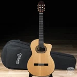 Takamine DH90 TH90 Hirade Classical Cutaway Nylon String Guitar W/ Case. Fixed Price $2699.00.