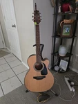 Takamine Acoustic Electric Guitar, Hard Case, And Accessories. Fixed Price $315.00.