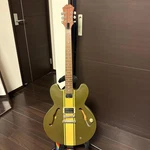Epiphone ES-333 BLINK-182 Tom Delong Model. Fixed Price $953.04.