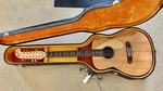 1969 Fender Villager 12-STRING Acoustic Guitar W/travel Case. Fixed Price $819.99.