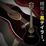 Taylor 214CE Dlx Blk Used Acoustic Guitar. Fixed Price $1818.53.
