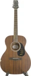 Mitchell T233E Mahogany Auditorium Acoustic-electric Guitar Blemish. Fixed Price $133.00.