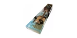 Cort Standard Series Trailblazer Acoustic Guitar Pack, Open Pore. Fixed Price $281.14.
