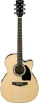 Performance Series PC15ECE Grand Concert Cutaway Acoustic Electric Guitar, Rosew. Fixed Price $457.71.
