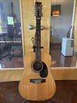 Alvarez 5021 12-STRING Dreadnought Vintage Acoustic Guitar Flat Top Right-handed. Fixed Price $475.00.