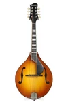 Eastman Guitars MD605 A-style Acoustic-electric Mandolin Goldburst. Fixed Price $1379.00.