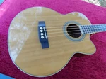 My Big Johnson JB-24 Acoustic/electric Bass, 3 Band Eq With Presence, Very Cool. Fixed Price $299.99.