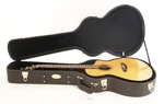 Breedlove Performer Pro Concert Thinline Indian Rosewood Acoustic Guitar. Fixed Price $689.99.